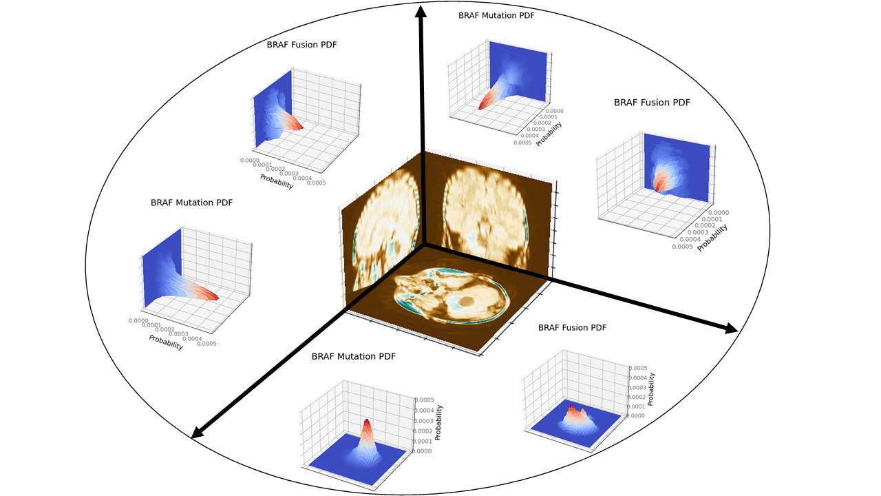 Scientific illustration Loc CNN pdf.png