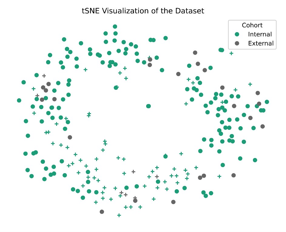 Scientific illustration SensitivityAnalysis tSNE.jpg
